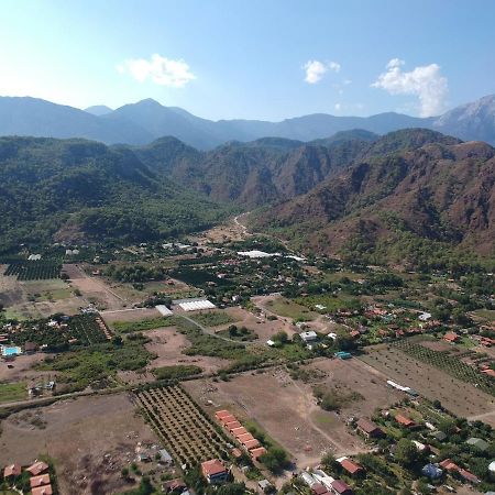 Cirali Zambak Villa Bagian luar foto