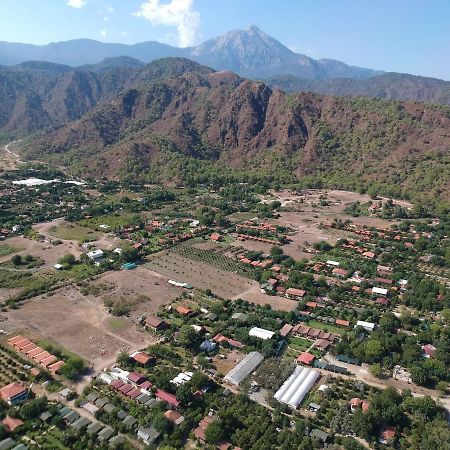 Cirali Zambak Villa Bagian luar foto