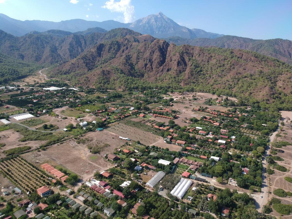 Cirali Zambak Villa Bagian luar foto